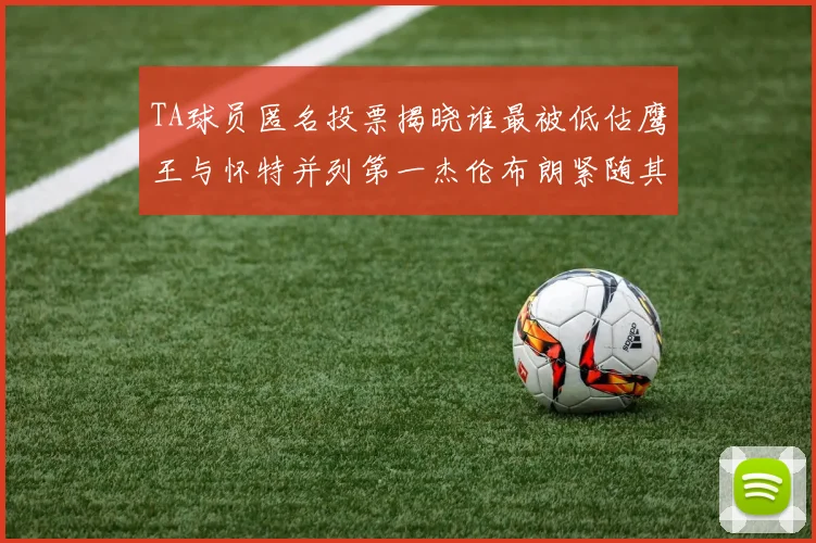 TA球员匿名投票揭晓谁最被低估鹰王与怀特并列第一杰伦布朗紧随其后