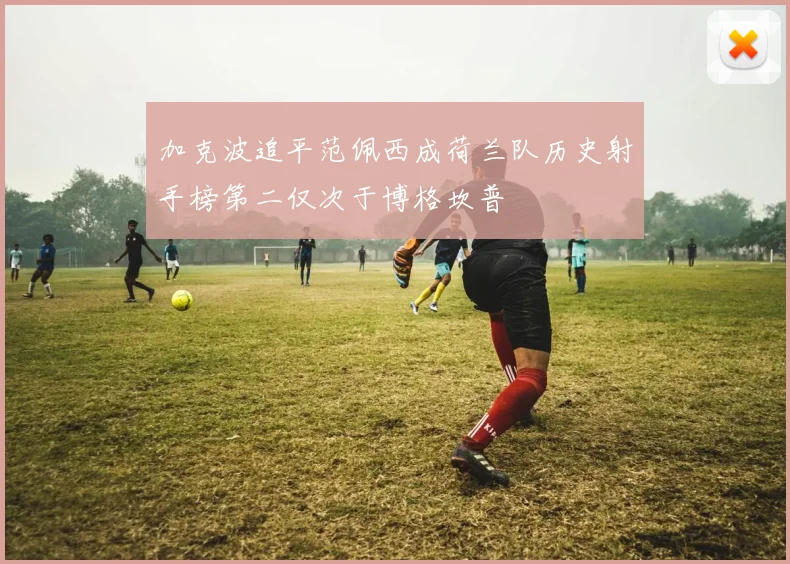 加克波追平范佩西成荷兰队历史射手榜第二仅次于博格坎普